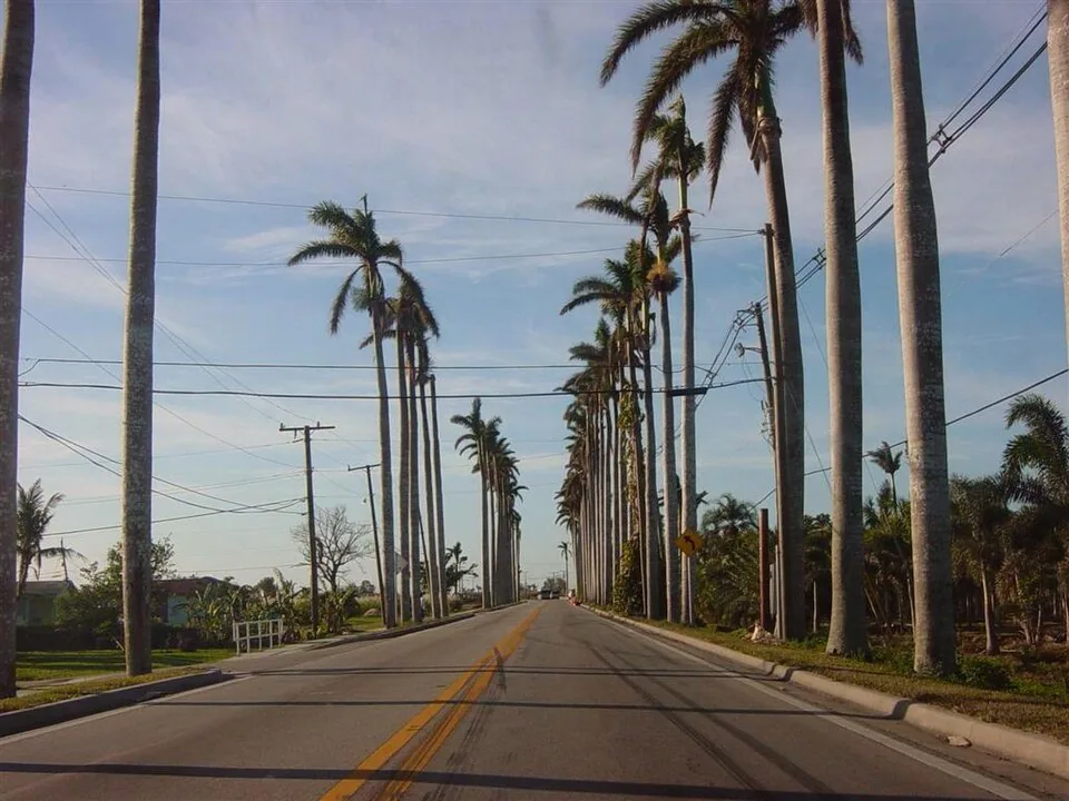 Commercial Roofing in Becker Road Commercial Corridor, Port St. Lucie, FL